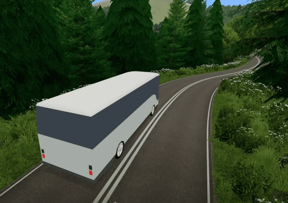 Slow Roads in a lush forest